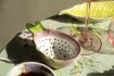 Bowl Pitaya 15x8.5x4.5cm Love&home